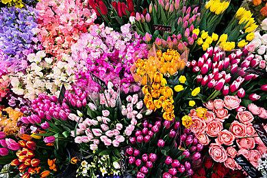 VR游戏《进击的巨人VR：牢不可破》明年夏季上市